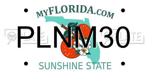 PLNM30 Florida License Plate