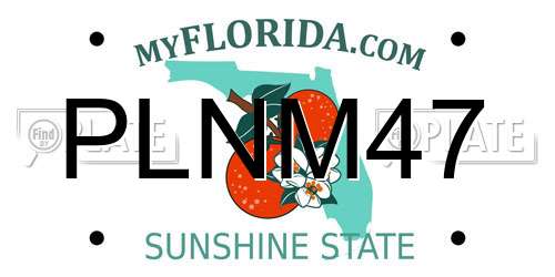 PLNM47 Florida License Plate