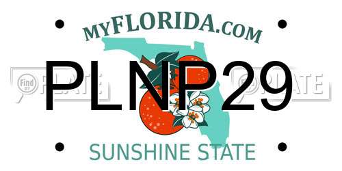 PLNP29 Florida License Plate