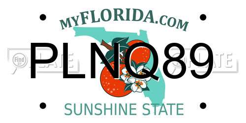 PLNQ89 Florida License Plate