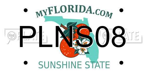 PLNS08 Florida License Plate