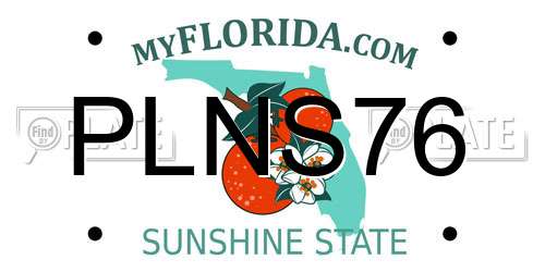 PLNS76 Florida License Plate