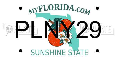 PLNY29 Florida License Plate