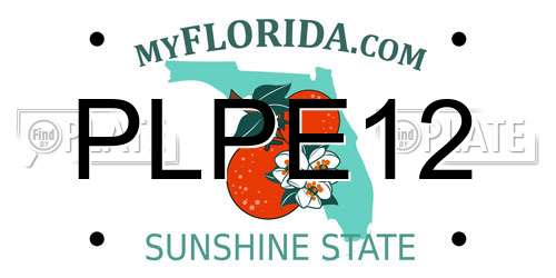 PLPE12 Florida License Plate