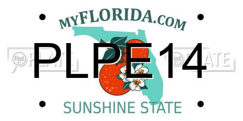 PLPE14 Florida License Plate