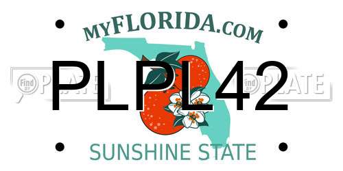 PLPL42 Florida License Plate