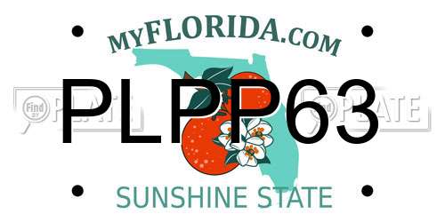 PLPP63 Florida License Plate