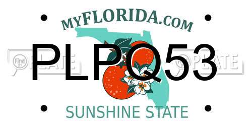 PLPQ53 Florida License Plate