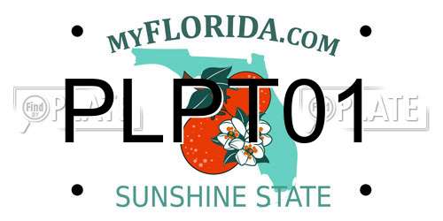 PLPT01 Florida License Plate