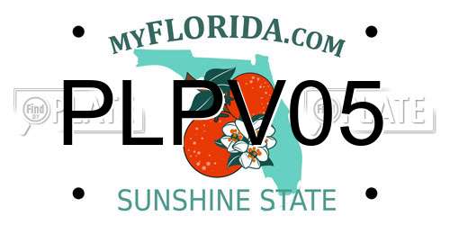 PLPV05 Florida License Plate