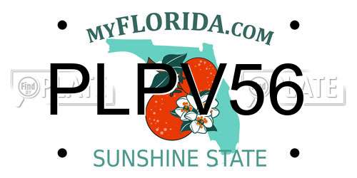 PLPV56 Florida License Plate