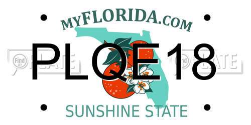 PLQE18 Florida License Plate