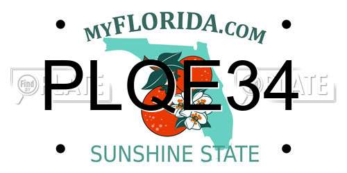 PLQE34 Florida License Plate