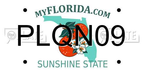PLQN09 Florida License Plate