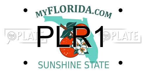 PLR1 Florida License Plate