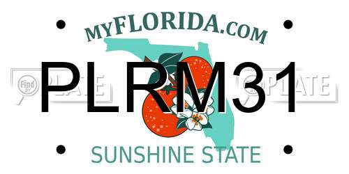 PLRM31 Florida License Plate