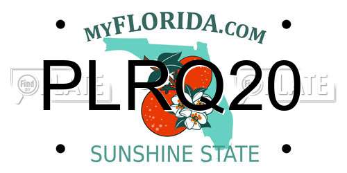 PLRQ20 Florida License Plate