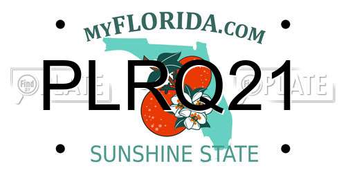 PLRQ21 Florida License Plate