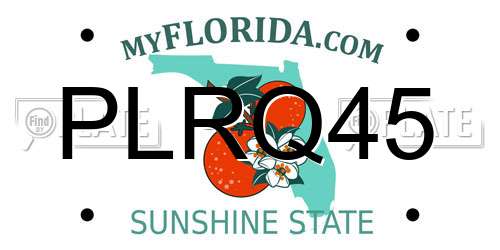 PLRQ45 Florida License Plate