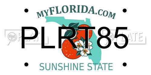 PLRT85 Florida License Plate