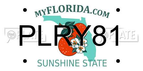 PLRY81 Florida License Plate