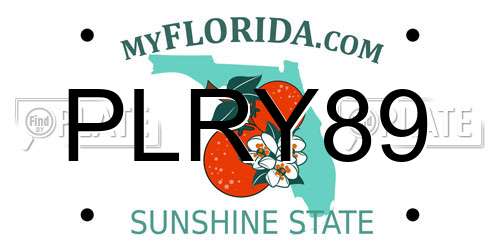 PLRY89 Florida License Plate