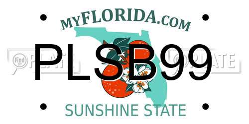 PLSB99 Florida License Plate