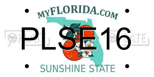 PLSE16 Florida License Plate