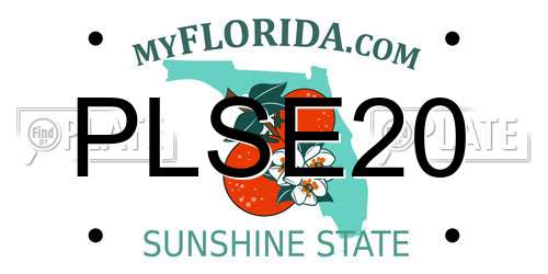 PLSE20 Florida License Plate