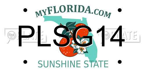 PLSG14 Florida License Plate