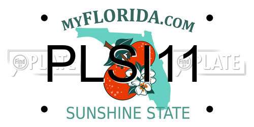 PLSI11 Florida License Plate