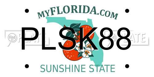 PLSK88 Florida License Plate