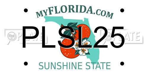 PLSL25 Florida License Plate