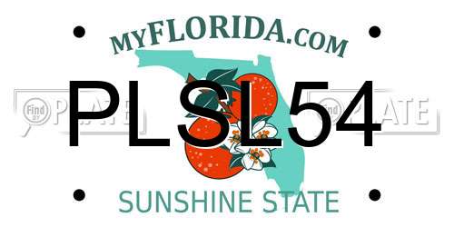 PLSL54 Florida License Plate