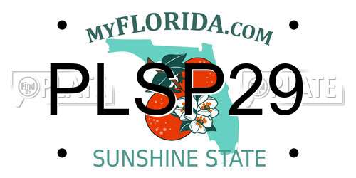 PLSP29 Florida License Plate