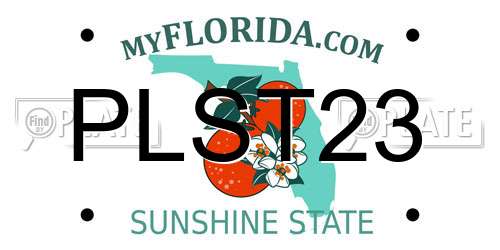 PLST23 Florida License Plate