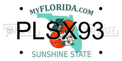 PLSX93 Florida License Plate