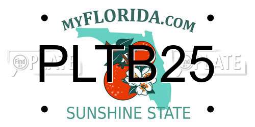 PLTB25 Florida License Plate