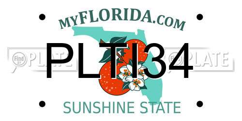 PLTI34 Florida License Plate