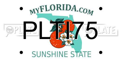 PLTI75 Florida License Plate