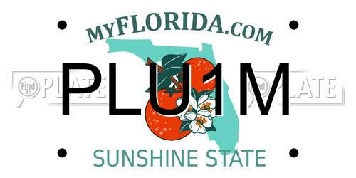 PLU1M Florida License Plate