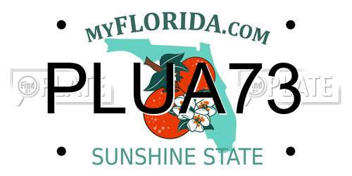 PLUA73 Florida License Plate