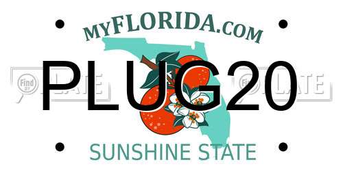 PLUG20 Florida License Plate