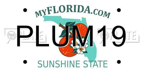 PLUM19 Florida License Plate