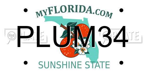 PLUM34 Florida License Plate