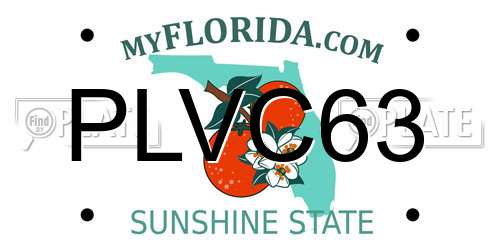 PLVC63 Florida License Plate