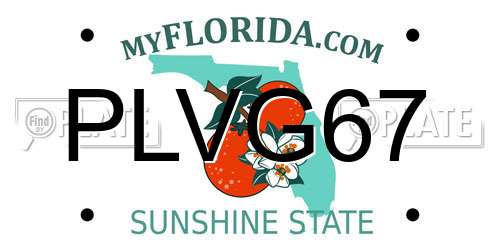 PLVG67 Florida License Plate