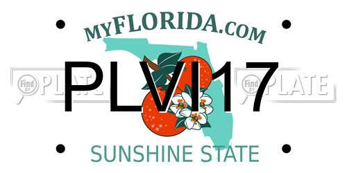 PLVI17 Florida License Plate