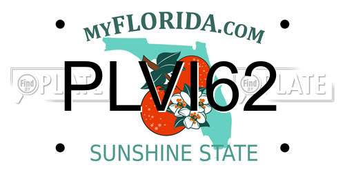 PLVI62 Florida License Plate