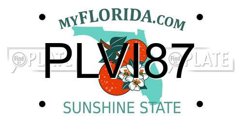 PLVI87 Florida License Plate